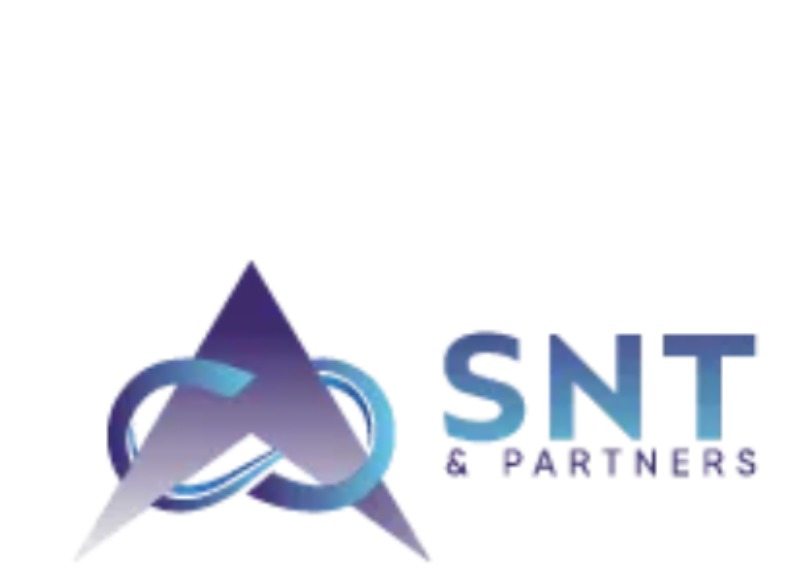 SNT Partners