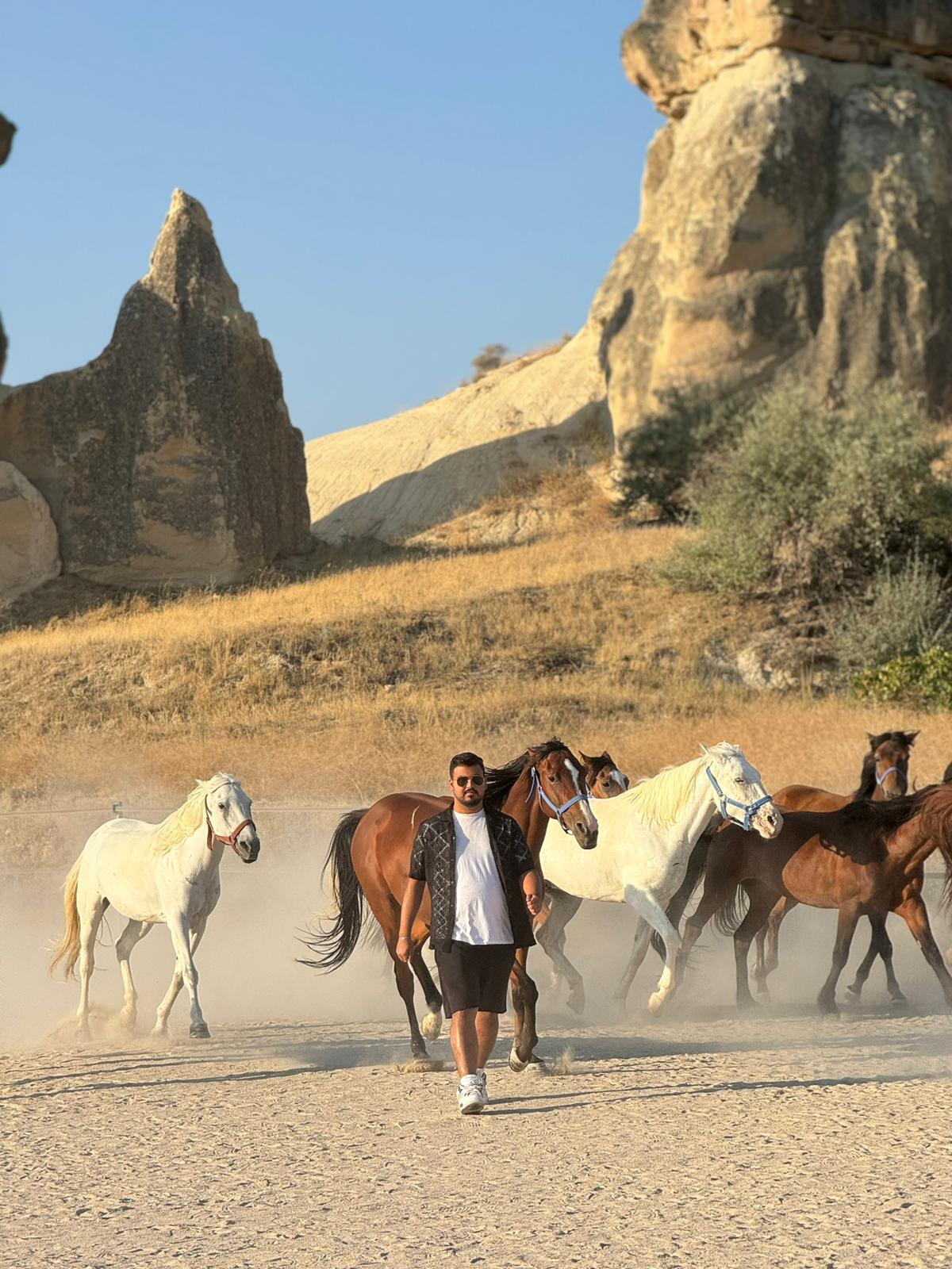 Tabeer Tours - Abu Dhabi