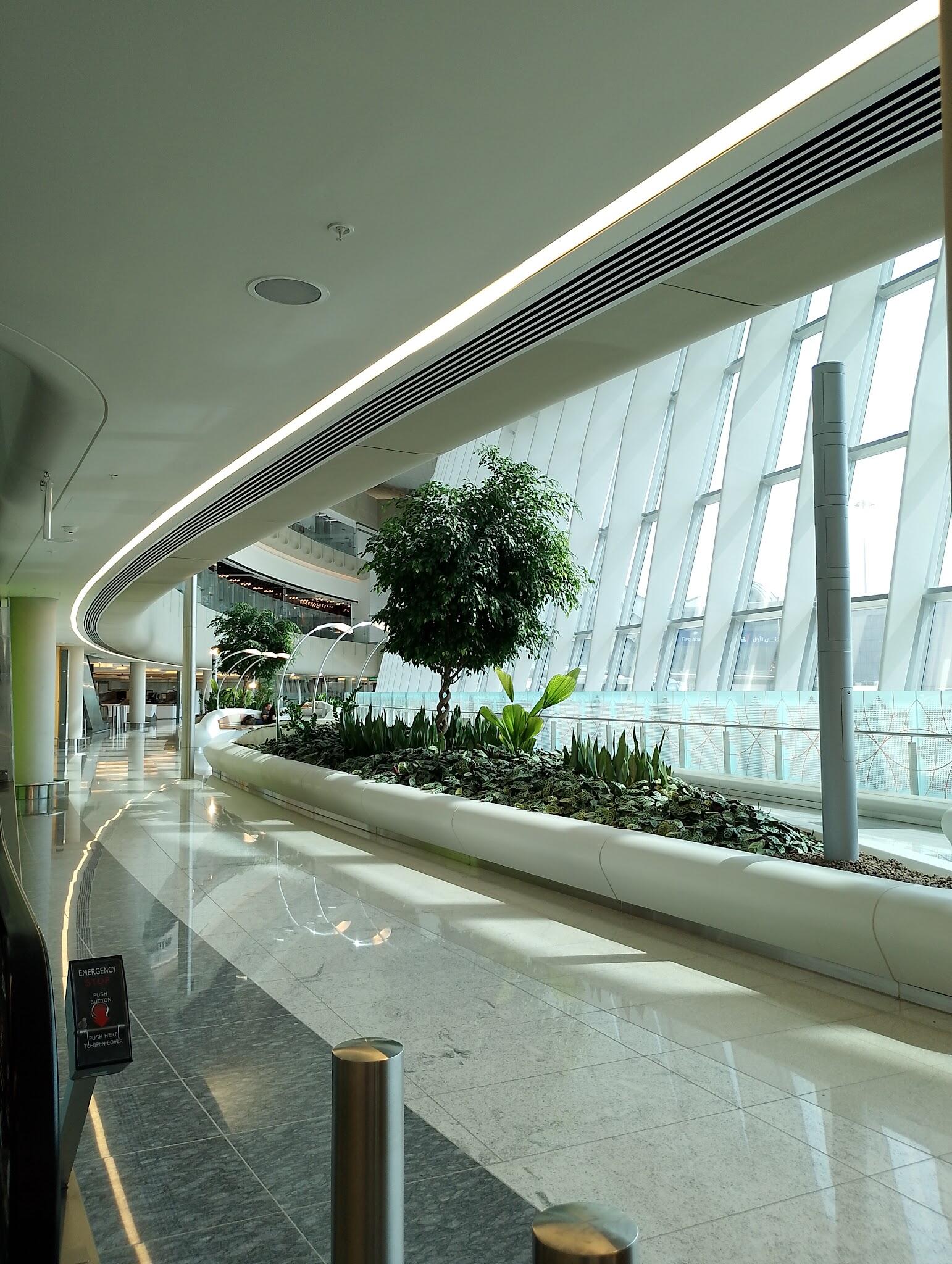 Desert Wave Travel Agency