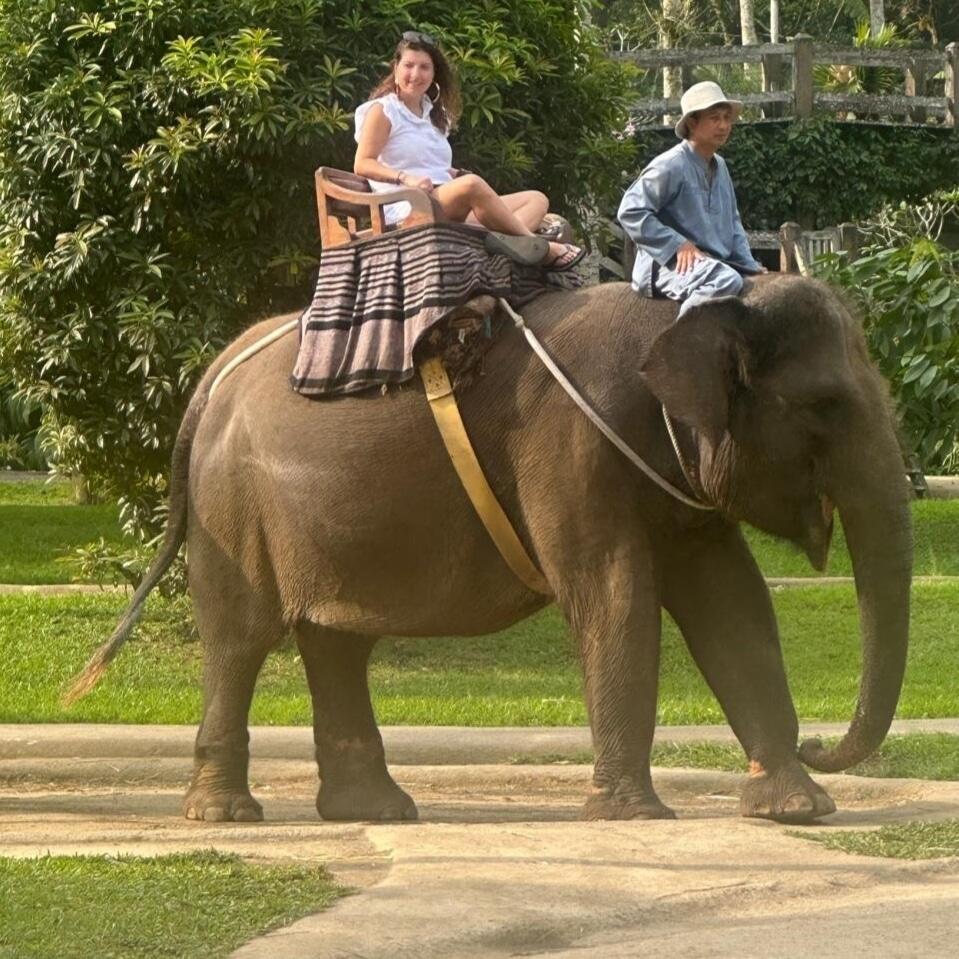 TravNook Travel & Tourism - تراف نوك للسفر و السياحة