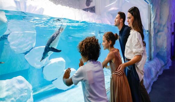 Fabulous things to do in Dubai for free