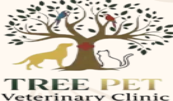 Best Veterinary Clinic in Sharjah for Complete Pet Care